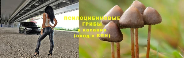 экстази Богородицк